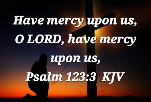 554d53a9-2a98-4efe-a9a4-3d7de0d90a26