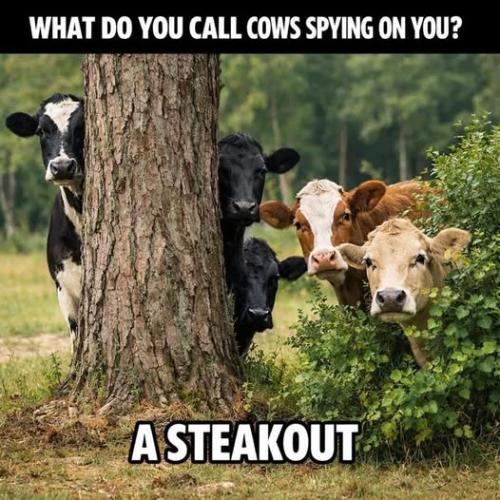 651173643_34261436400167767_7066049811067730306_n