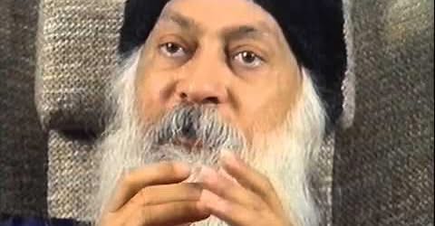 ,                             ,    ,