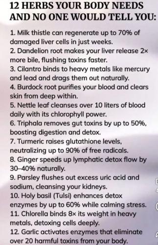 ,                             ,    ,