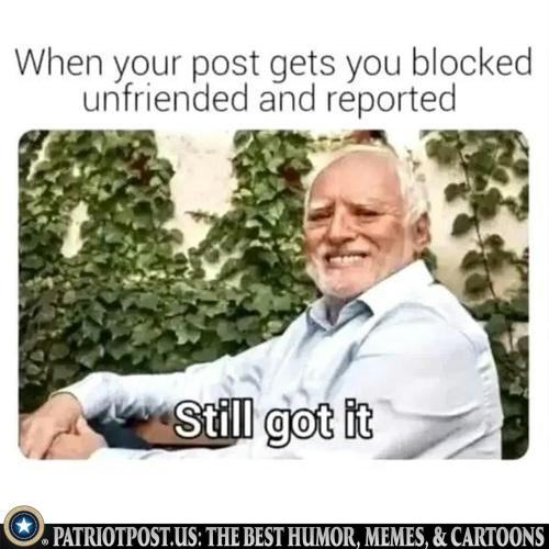 01KMDDQJD5SE4P1GRNVFRNT4ZF