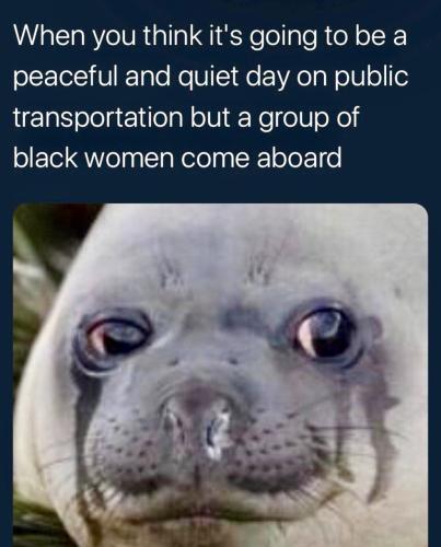 IMG_20260328_145147_463