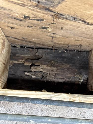 D16742FF-EEE2-4107-9005-46477FD3FAAD