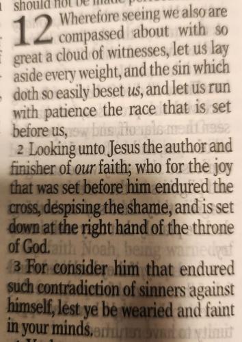 FB_IMG_1772631135631