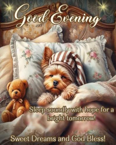 b45eeefde1154177054ca5f2bfef3892