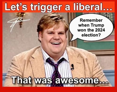 17738274329857358549046769369658_246956120897093