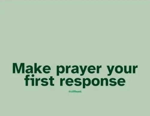 TESTHUB_photos_users_KPBY8Tc46ldqLjWXf6bqxqOW3AR2_-OoLejDH5heJ9i0xfrs6_img_rsz__1100x1100