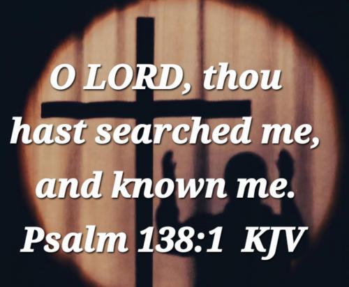 c78323e8-228d-4024-9511-e2a5e6da8b08