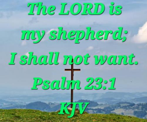 6b700a13-6981-4c77-b3fe-28a3b59145f5