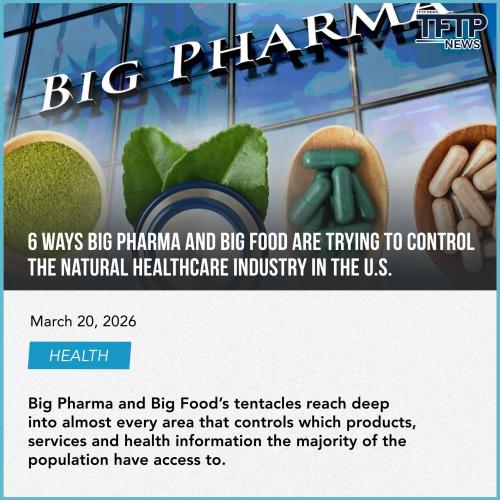 443213123123145445453453455