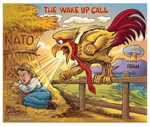 f8326531-50cb-4596-930b-e1b5152ab8ff