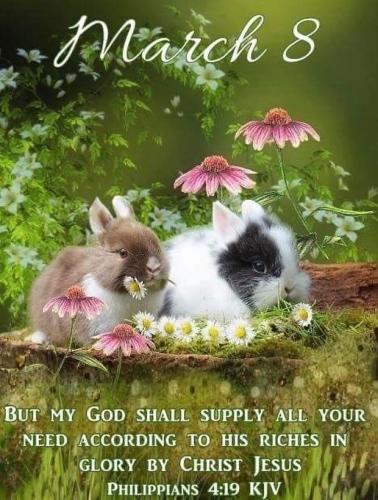 649508988_18044431880743683_6165509147365989536_n