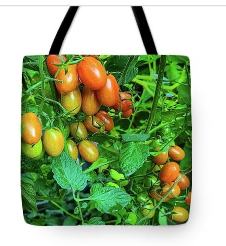 Screenshot_20260314_111317_Brave