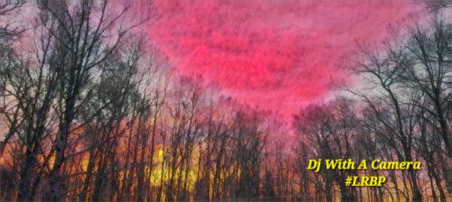 IMG_20260318_205911528_Dancers in Pink