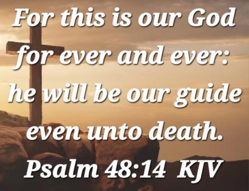 ea6c1feb-019d-43d8-a479-ac42c3e81397