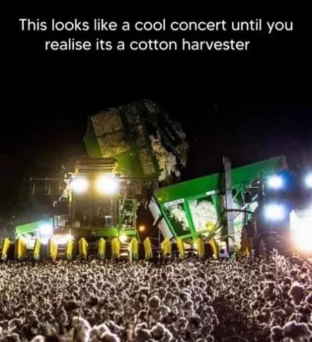 cool-concert