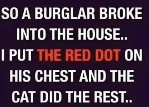 Resized_img_rsz__1100x1100_(6)