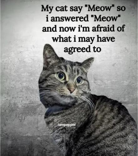 1740db303d279e8479e1324641fef039