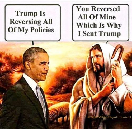 IMG_20260322_131519_454