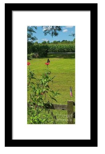 Screenshot_20260320_135254_Brave