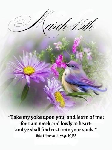 651814327_946434357890911_721129006838182070_n