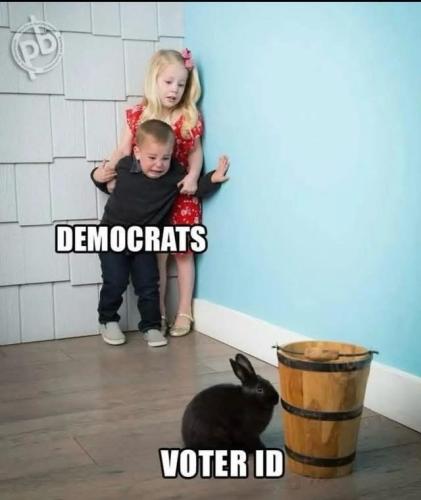 E251BBC0-4439-4468-BB97-98EE5A38535B