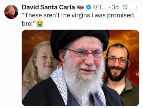 not-the-virgins-promised