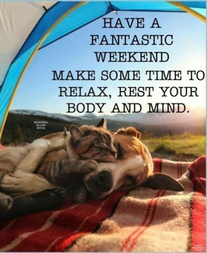 dfd4cea966dfd765_1740249686215308