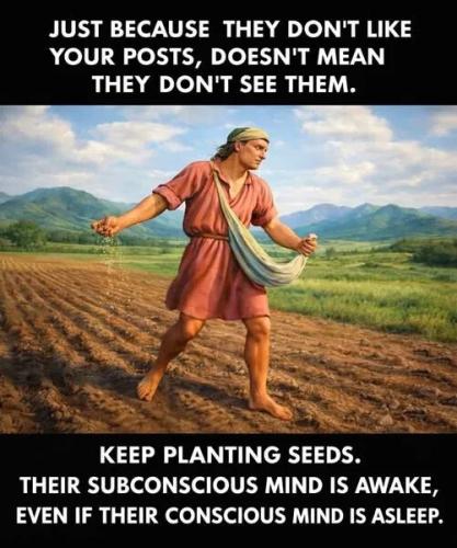 keep-planting-seeds