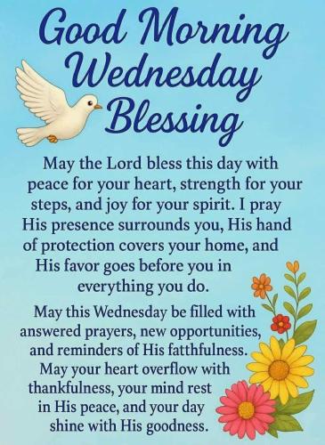 658480240_1593541595029061_916563429268889894_n