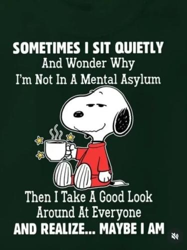 17745075892307233615931913247628_658928593226656