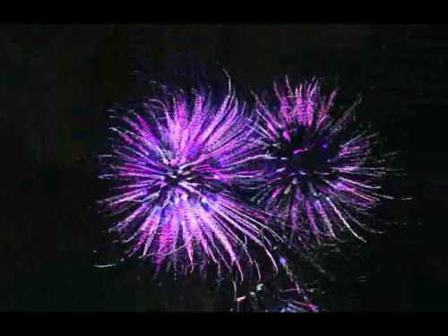 ,      ,             BdX7M1JO