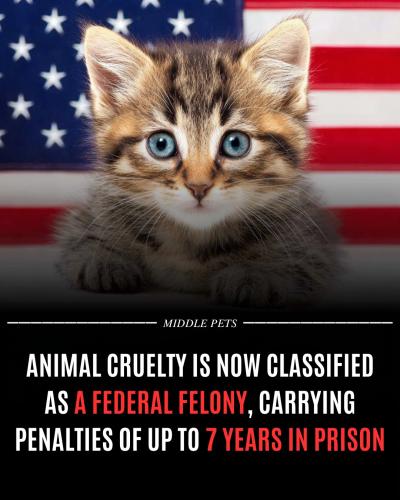 645357079_122206417418580665_5485644659949236887_n