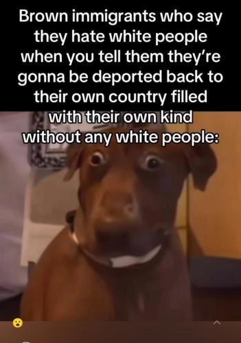 bb7892f0-def9-4cda-82d0-6f075ac62592