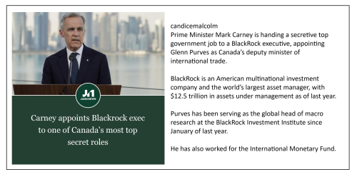 appoints blackrock exec