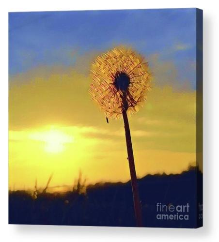 Screenshot_20260302_174409_Brave