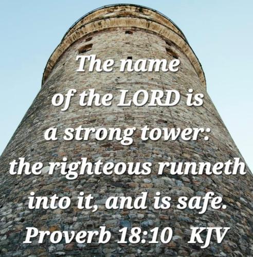 2f8cfb1b-69ed-4d96-8402-8e7c7ed53b2f