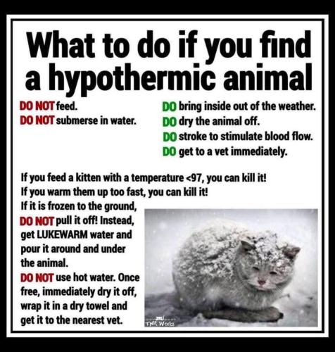 FB_IMG_1768840700375