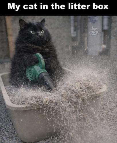 main-qimg-643920aecfe83efb4514ff8112883c1d