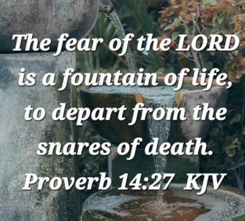 424daabb-c4bf-4683-aad1-1b140252ee9b