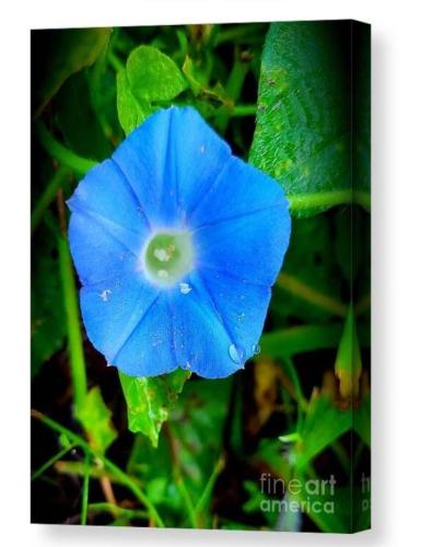 Screenshot_20260328_112404_Brave