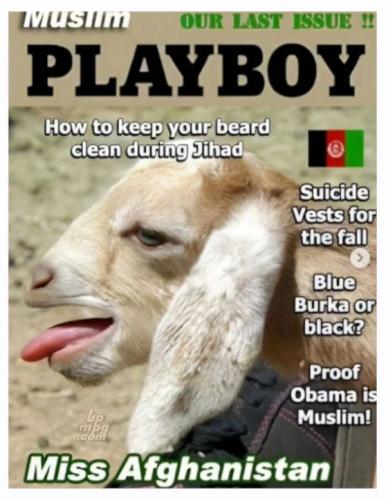 main-qimg-e386d6ceb25869bc294398d2b571f3a7