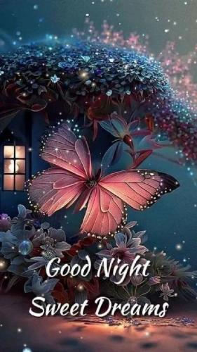 TESTHUB_photos_users_KPBY8Tc46ldqLjWXf6bqxqOW3AR2_-Ommu3Xt1NcUNfLIS7PH_img_rsz__1100x1100