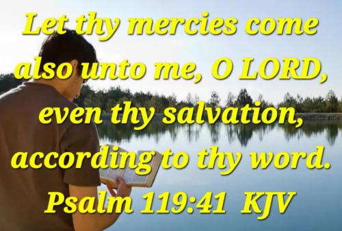 51375683-8362-4b56-b4bd-d228e4e1b75c