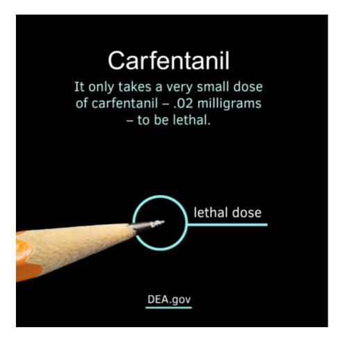 Screenshot_20260328-093427.Wimkin Free Speech Social Media~2