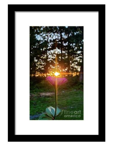 Screenshot_20260315_183354_Brave