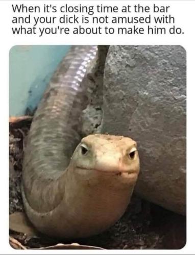 52A57409-9EA9-44FC-8B05-FDF417A891C7