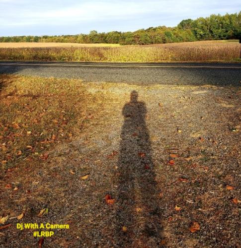 Screenshot_20260303_060304_Gallery