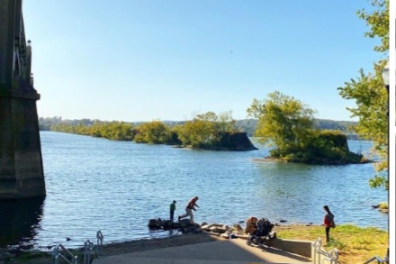 Screenshot_20260129_070624_Chrome