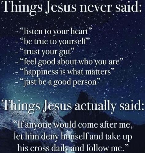 25af5519-4e40-4f74-aa01-2614c944983b